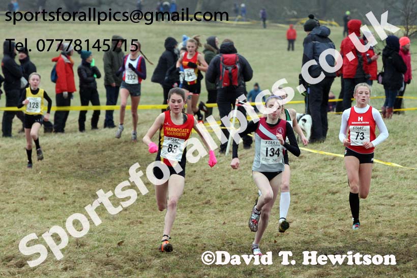 Girls under-15s, 2018 Northern Cross Country Champs., Harewood House, Leeds. Photo: David T. Hewitson/Sports for All Pics